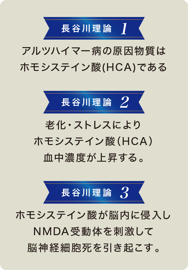 長谷川理論 長谷川理論